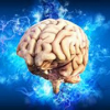 Brain Simulation